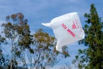 plastic-bag-in-wind